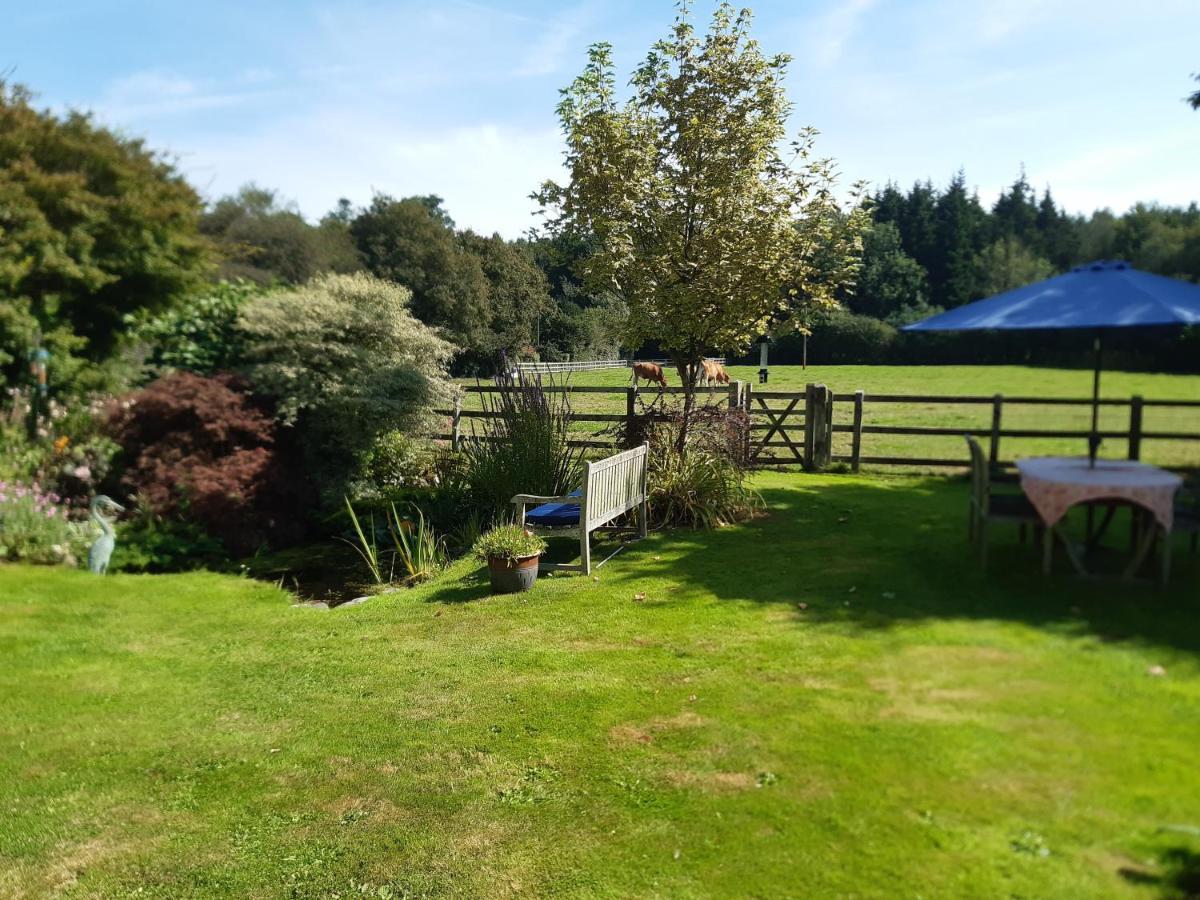 Woodlands Cottage Farm Wickham Exterior photo